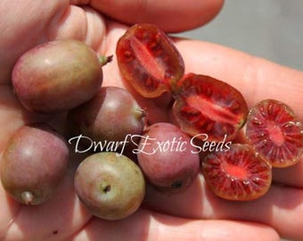 May include: A close-up of a hand holding several red and purple fruits. Some of the fruits are cut in half, revealing a bright red interior with black seeds. The text "Dwarf Exotic Seeds" is visible in the image.