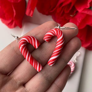 May include: A pair of candy cane earrings. Each earring is a red and white striped candy cane shape with a silver hook. The earrings are displayed against a background of red flowers.
