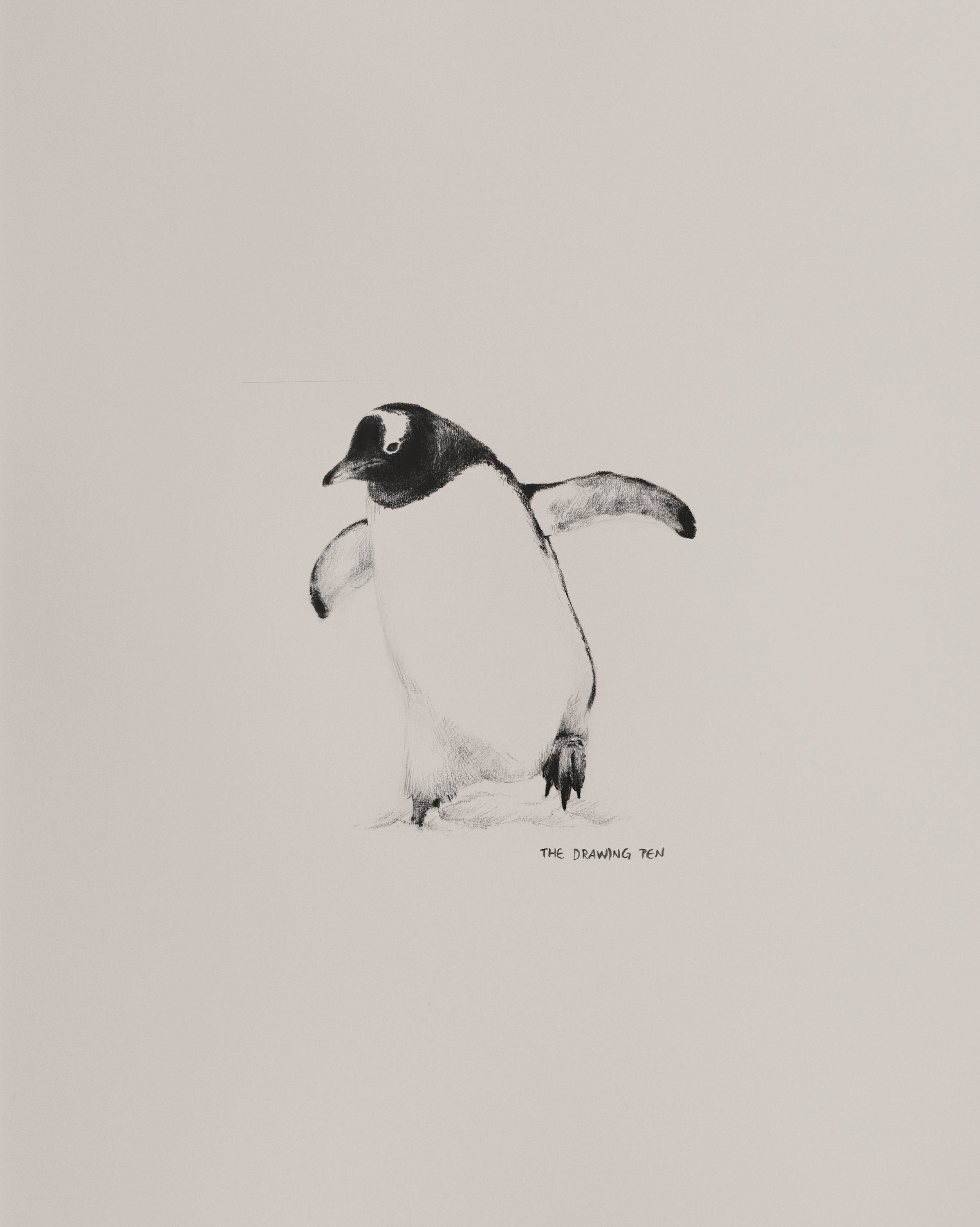 Penguin Pencil Drawing Wall Art Minimalist Animal Wall Art Pencil