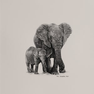 Elephant Pencil Drawing Wall Art | Minimalist Animal Wall Art Pencil Drawing | Fine Art Print with Mount | Black & White Wall Art