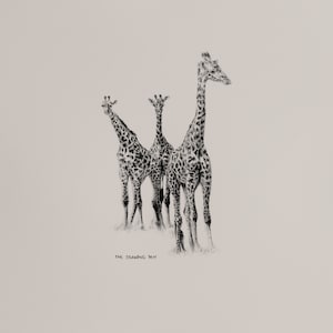 Giraffe Drawing Wall Art | Minimalist Animal Wall Art Pencil Drawing | Digital Download | Black & White Wall Art