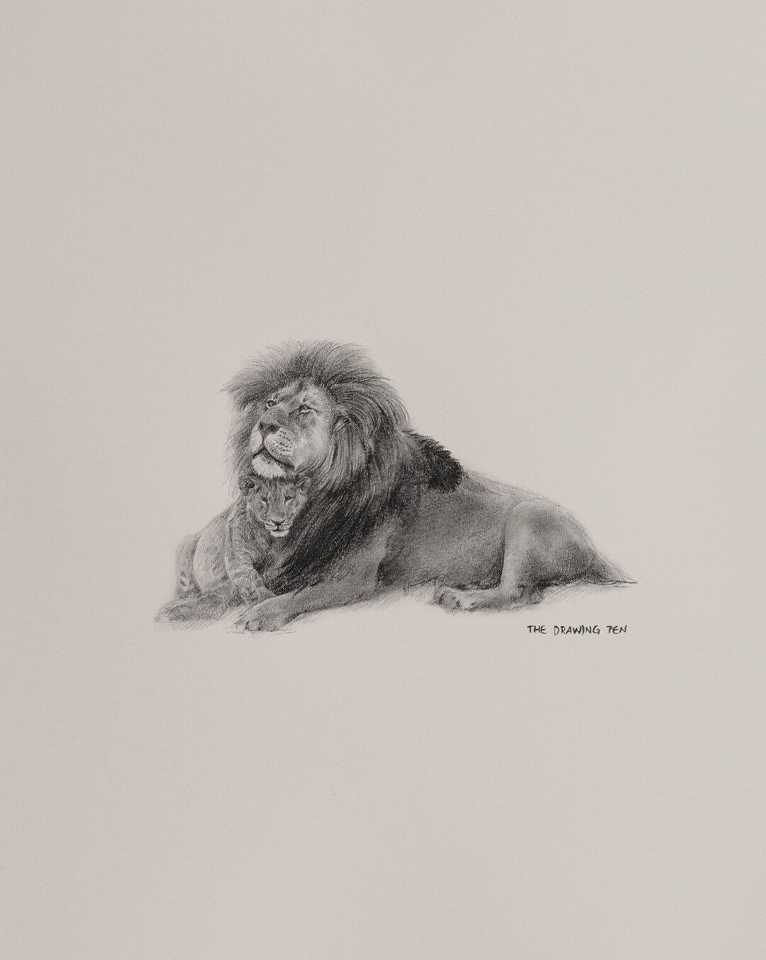 Lion Pencil Drawing Wall Art Minimalist Animal Wall Art Pencil Drawing