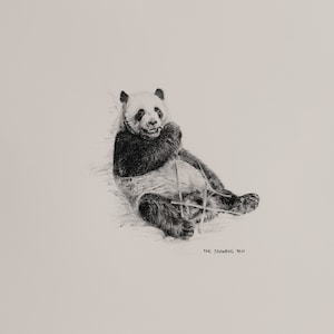 Panda Pencil Drawing Wall Art | Minimalist Animal Wall Art Pencil Drawing | Fine Art Print with Mount | Black & White Wall Art
