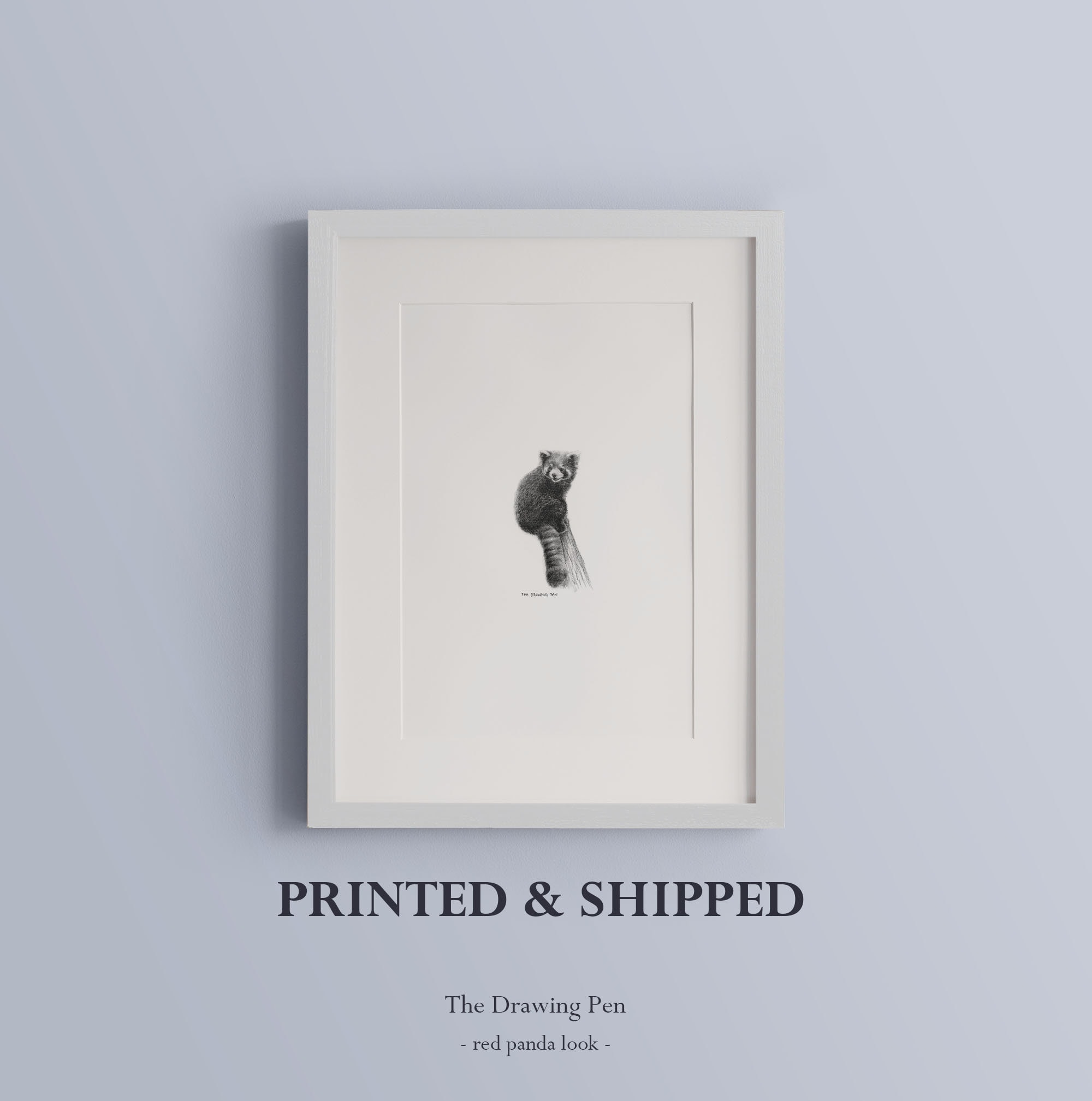 Red Panda Drawing Wall Art Minimalist Animal Wall Art Pencil Drawing Fine Art Print With Mount