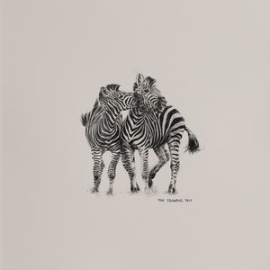 Zebra Pencil Drawing Wall Art | Minimalist Animal Wall Art Pencil Drawing | Fine Art Print with Mount | Black & White Wall Art