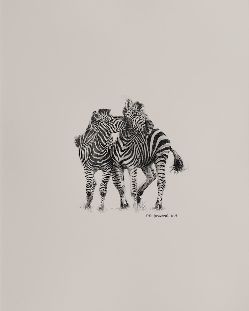 Zebra Pencil Drawing Wall Art Minimalist Animal Wall Art Etsy