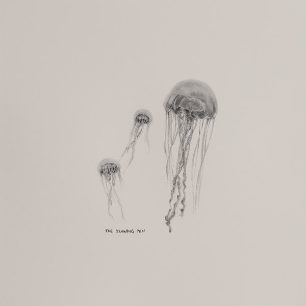 Jellyfish Pencil Drawing Wall Art | Minimalist Animal Wall Art Pencil Drawing | Fine Art Print with Mount | Black & White Wall Art