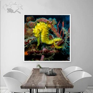 Tiger Tail Seahorse Wall Art | Digital Art | Printable Ocean Art | Downloadable Art | Macro Sea Animals | Seahorse on Reef
