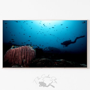 Samsung Rahmen TV Kunst | Taucher & Barrel Schwammrahmen TV | Unterwasser TV Kunst | Digitaler Download | Tauchen | Riff in der Abenddämmerung