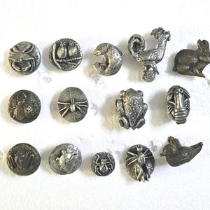 May include: A collection of fourteen silver-toned metal buttons arranged in three rows. The buttons feature various embossed designs including animals such as a rabbit, frog, rooster, owl, and insects like a spider, beetle, and scorpion.