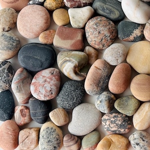 Pode incluir: Uma coleção de pedras lisas e coloridas de várias formas e tamanhos, dispostas sobre uma superfície branca. As pedras exibem uma gama de cores, incluindo rosa, cinza, marrom e branco. Caules de trigo secos estão à direita.
