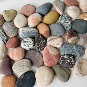 Pietre da osservazione, pietre Suiseki grezze, pietre per acquari, rocce grezze per la lucidatura, rocce da collezione, decorazioni per la stanza dell'oceano, decorazioni estetiche per la casa