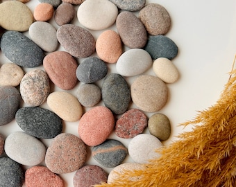 Può includere: Una collezione di pietre lisce e colorate in varie tonalità di grigio, marrone, rosa e bianco. Le pietre sono disposte in cerchio su uno sfondo bianco.