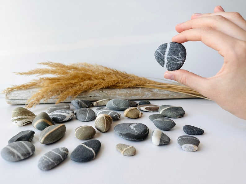 May include: A selection of smooth, grey and tan river stones with white veining. One stone is held up by a hand. Dried grasses and a piece of driftwood are in the background. The stones vary in size and shape.