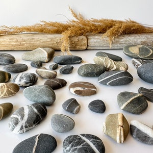 May include: An assortment of smooth, gray and brown river stones with white and tan veining. Some stones are oval, others are round or oblong. Dried grasses and driftwood are in the background.