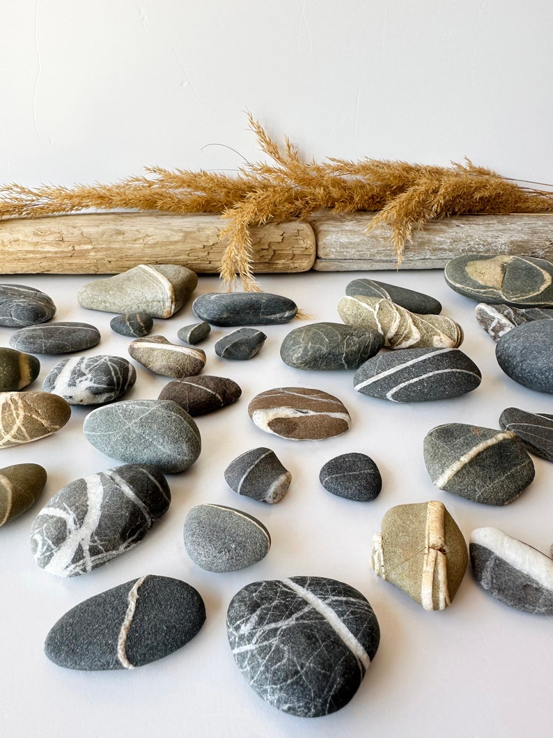 May include: An assortment of smooth, gray and brown river stones with white and tan veining. Some stones are oval, others are round or oblong. Dried grasses and driftwood are in the background.