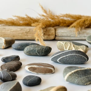 May include: An assortment of smooth, gray and brown river stones with white stripes and patterns. Dried grasses and weathered wood pieces are in the background, creating a natural, earthy aesthetic. The stones vary in size and shape.