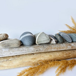 May include: A collection of smooth, gray and tan river stones with various patterns, including stripes and swirls, arranged on weathered driftwood. Dried grasses add a natural, earthy aesthetic. The stones vary in size and shape.