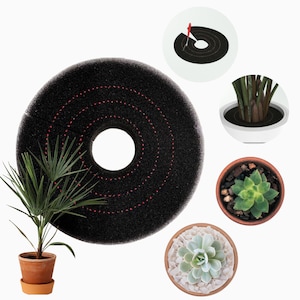 Decorepad Plant protector 12&quot;- stones discoloration colors protective, self watering, pest barrier, Healthy plant Benefits, indoor plant.