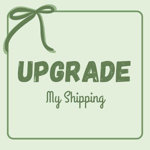 Beschleunigtes Versand-Upgrade