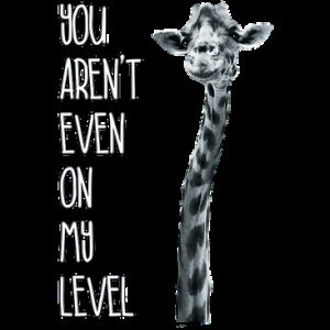 You Aren&#39;t Even On My Level Hoodie, Giraffe Shirt, Animal hoodie, Sarcastic hoodie, Sarcasm apparel