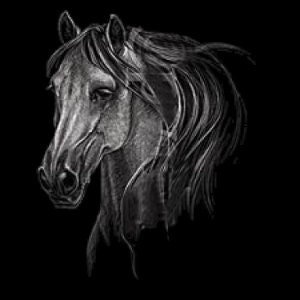 Majestic Horse Head T-Shirt, Horse Shirt, Animal Graphic Tee