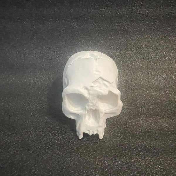 Homo Floresiensis skull model