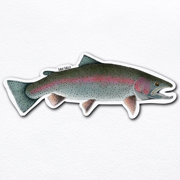 Rainbow Trout Fly Fishing Sticker