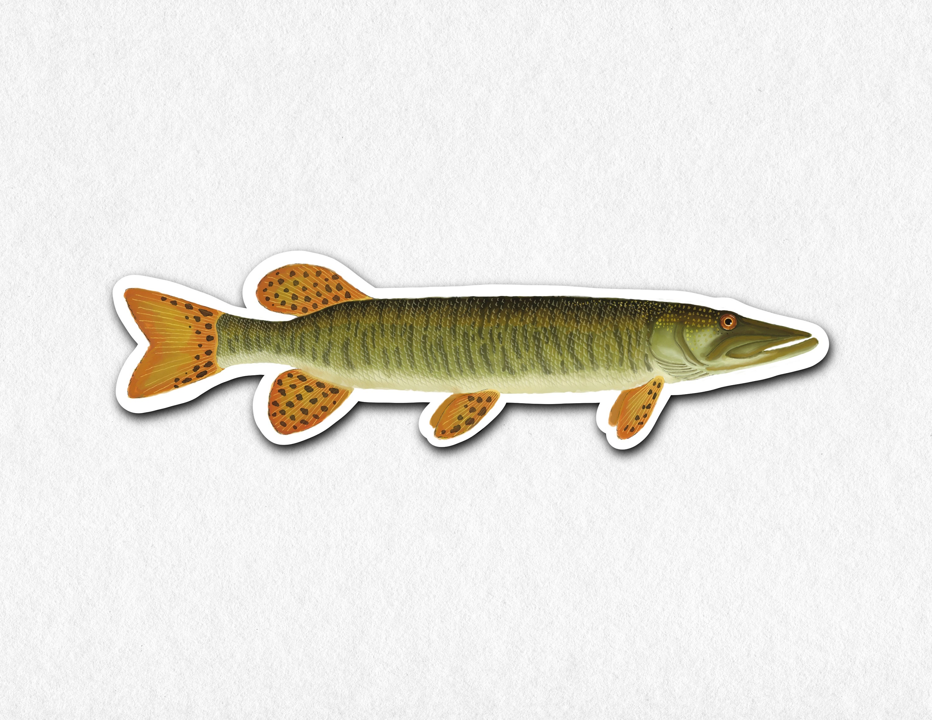 Musky Decals 