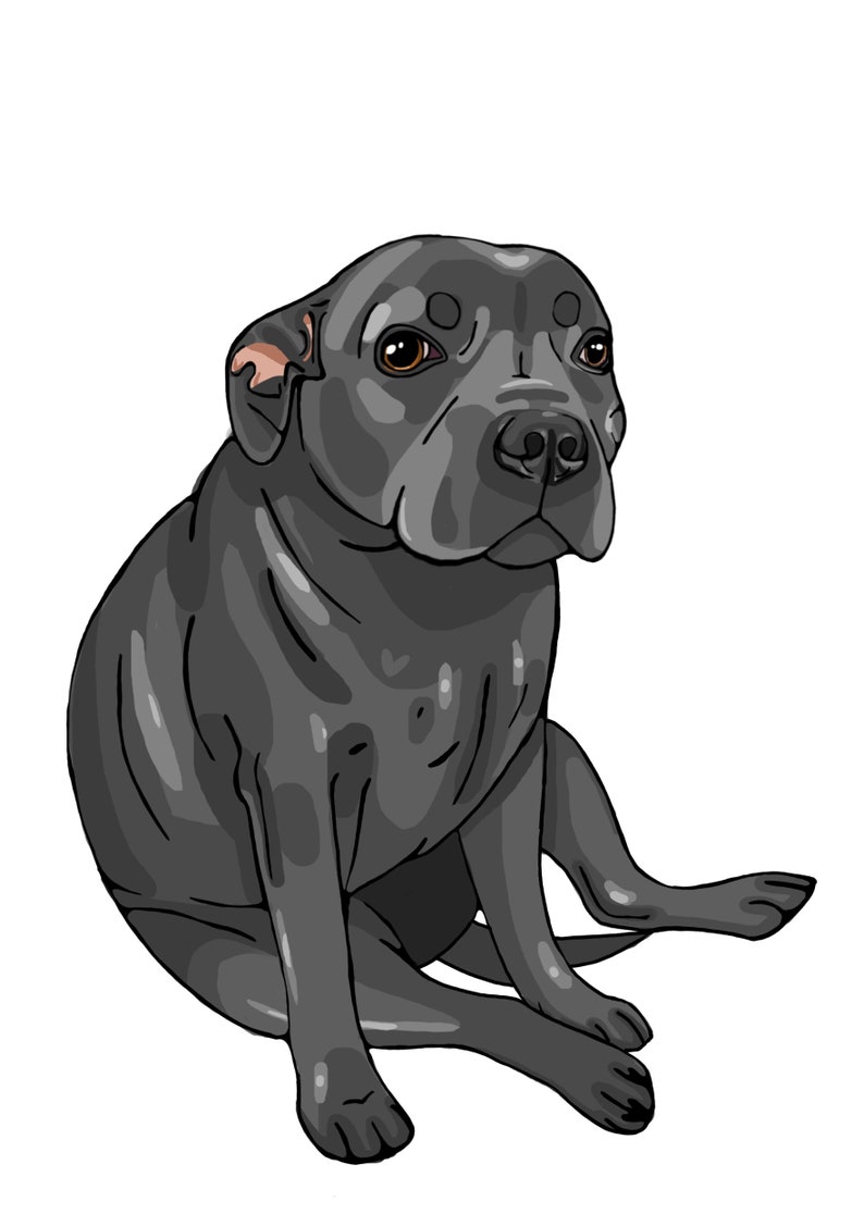 Staffordshire Bull Terrier A5 Print Blue Etsy Australia