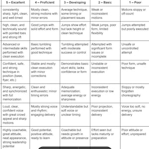 Op de afbeelding: Een gedetailleerde tabel categoriseert cheerleading vaardigheden, waaronder bewegingen, sprongen, tumbling, stunting, dans en cheer. Elke categorie wordt beoordeeld van Uitstekend tot Geen, met beschrijvingen voor elk niveau.