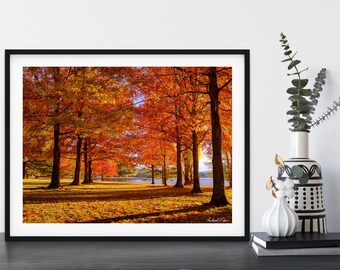 Landscape Print | Autumn Peace Park Australia | Home Decor Photography Wall Art