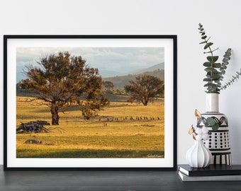 Landscape Print | Golden Kangaroo Sunset Australia | Home Decor Photography Wall Art