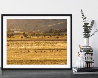Landscape Print | Kangaroos Hopping Into Sunset | Home Decor Photography Wall Art | Framed Landscape Photograph