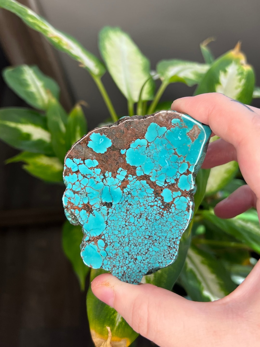 A 3 Inch Natural Turquoise Slab Authentic Turquoise Slice Etsy