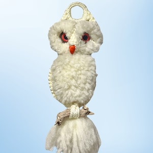 Vintage &#39;70s Macrame Owl on Driftwood: Ceramic Eyes, Porcelain Nose