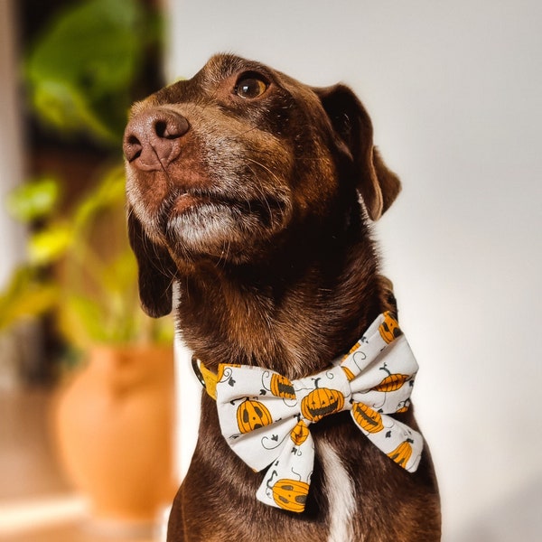 Halloween Pet Sailor Bowtie - Custom made - Various fabrics & Sizes