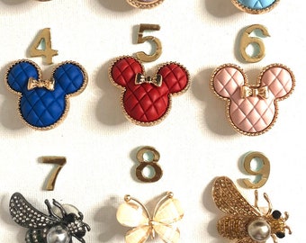 Shoe charms.. bright and fun.