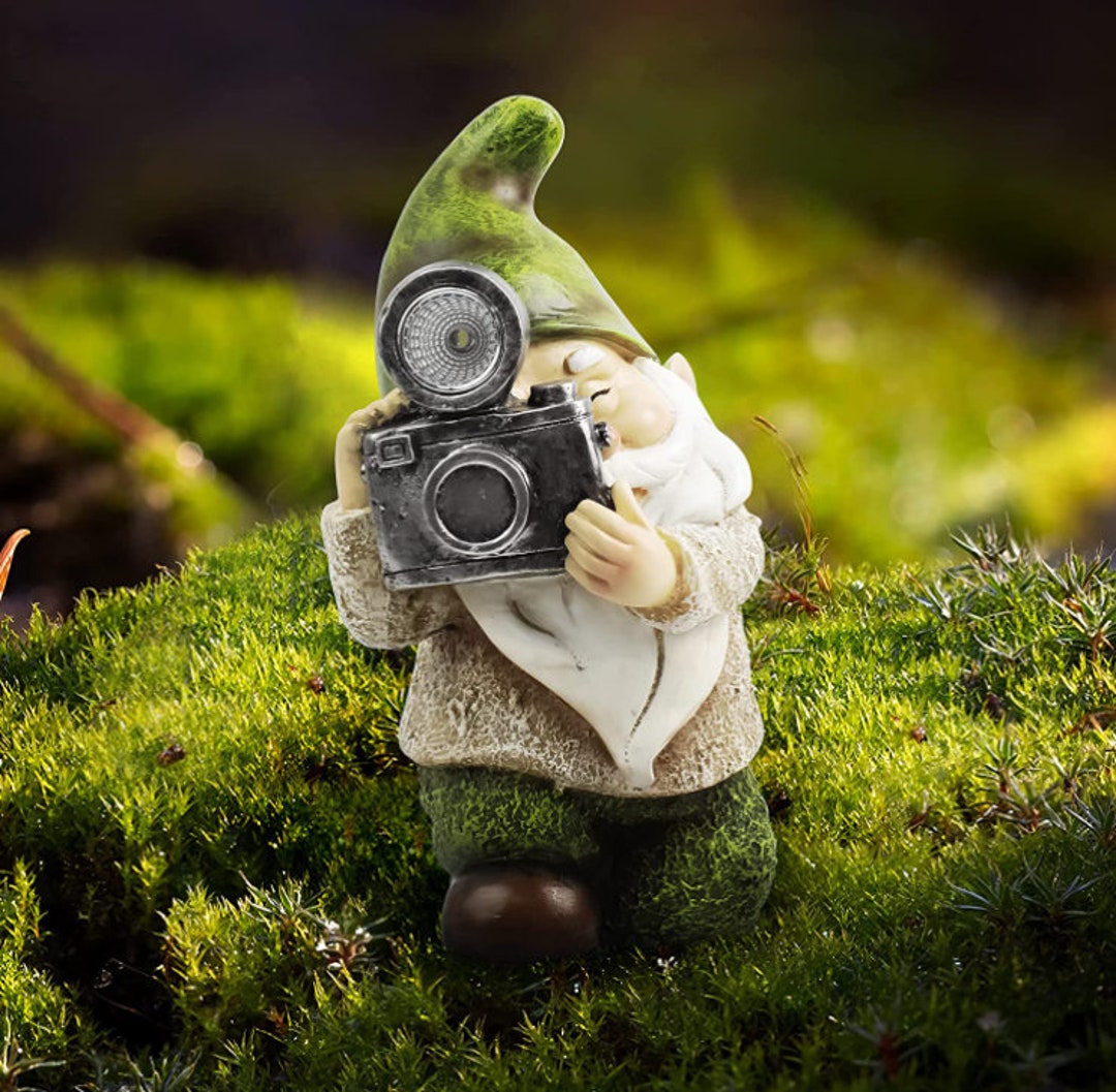 Garden Gnome Statue Resin Gnome Figurine Take a Photograph Etsy