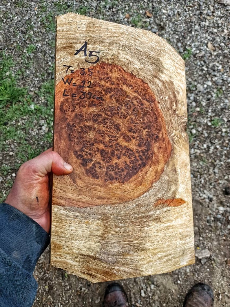 Amboyna Burl Wood Woodturning Blank Gun Grip Handle Scales Walnut