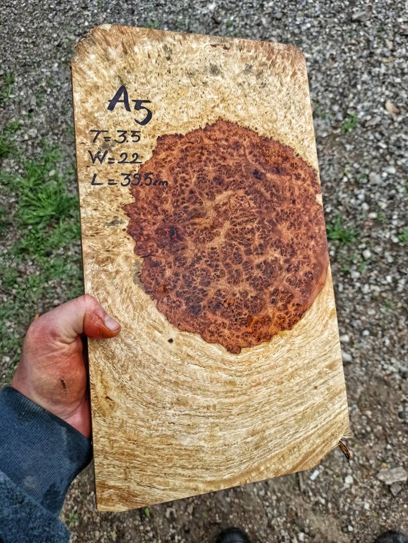 Amboyna Burl Wood Woodturning Blank Gun Grip Handle Scales Walnut