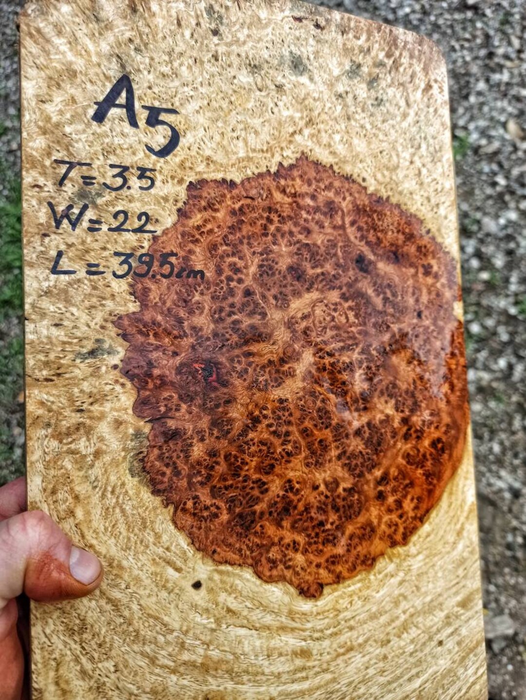 Amboyna Burl Wood Woodturning Blank Gun Grip Handle Scales Walnut