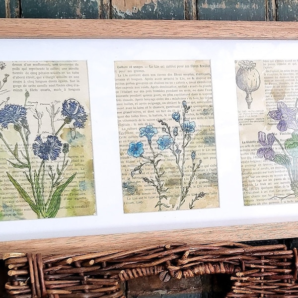 Triptyque fleurs à l'aquarelle sur livre ancien