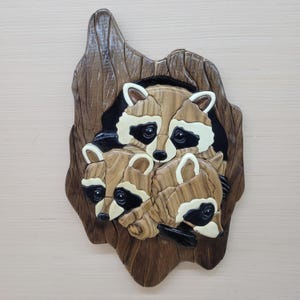 Raccoon family intarsia