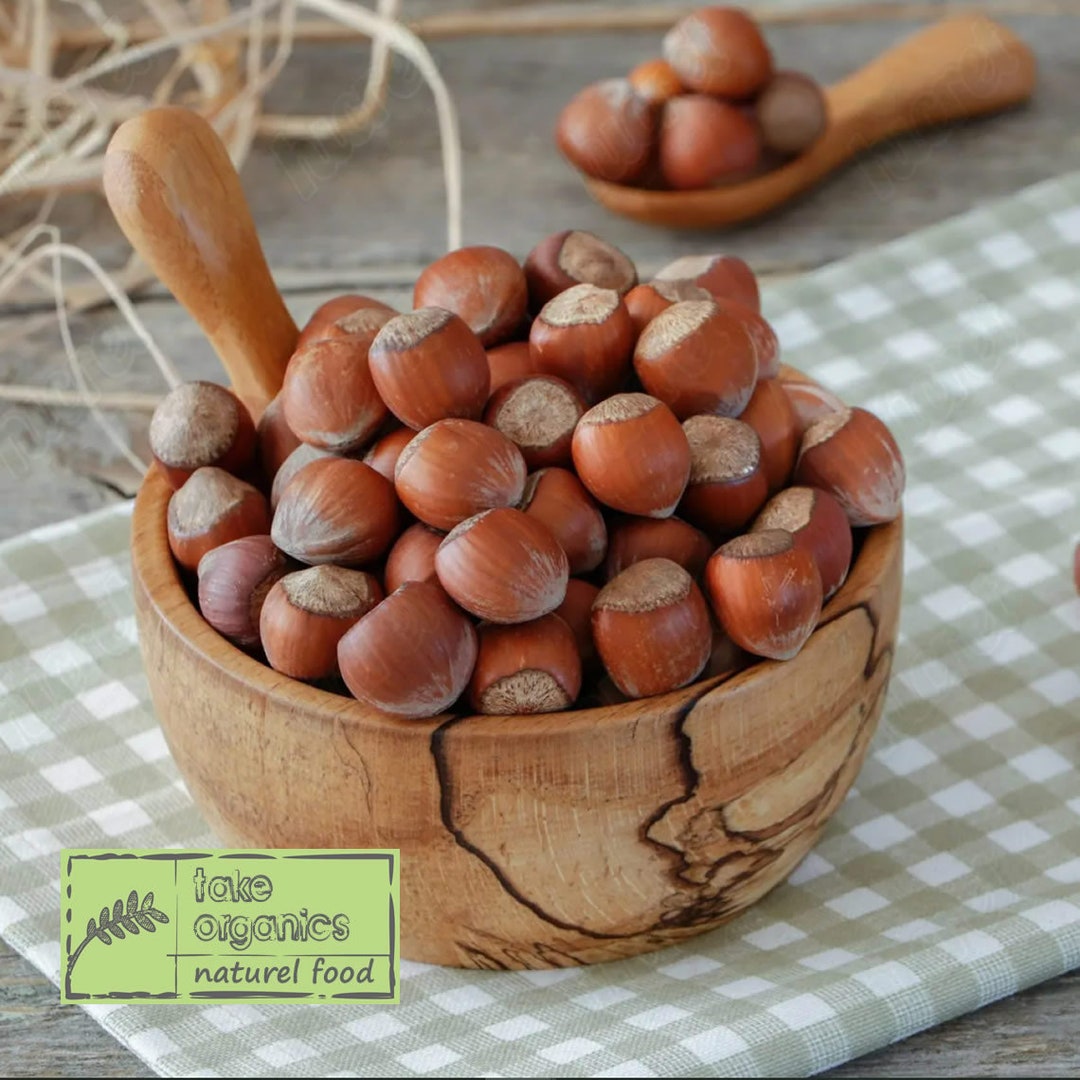 Organic Premium Quality Hazelnut With Shell,unshelled Hazelnut,turkish