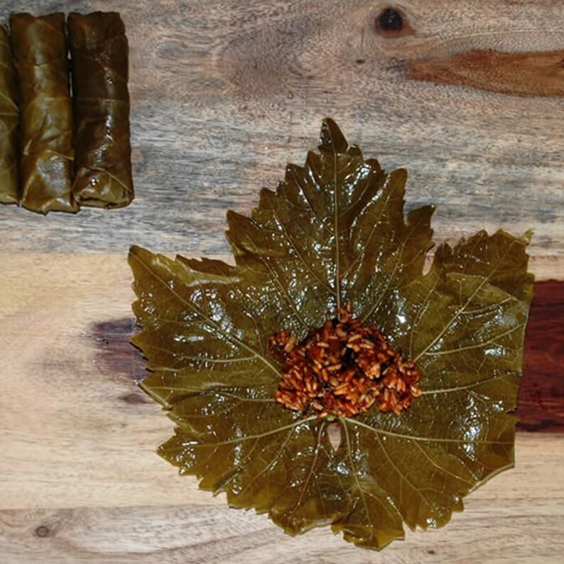 Pickled Grape Leaves, Organic Grape Leaf,turkish Food, Grape Leaf, Vine