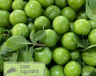 Greengage, ciruela agria verde, fruta de ciruela verde, frutas populares, ciruela verde fresca más vendida, frutas de nueva cosecha, Eksi Erik, 5 lb - ENVÍO GRATIS