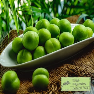 Zielona śliwka owocowa, śliwka, Greenage, Generik, Janerik, New Crop, Fresh, Snack, Seasonal, Bestseller Organic Green Plum, 450 gr-SZYBKA I BEZPŁATNA WYSYŁKA