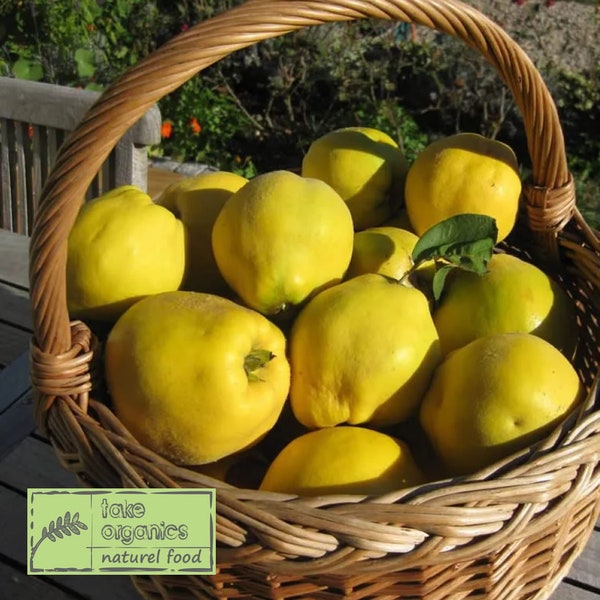 Organic Natural Quince ,Fresh Quince Fruit ,Seasonal Taste, 1kg - FREE SHIPPING