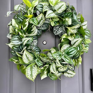 Variegated Year Round Greenery Front Door Wreath. Houseplant Wreath. Minimalist Greenery Wreath. Everyday Wreath. Summer Greenery Wreath.